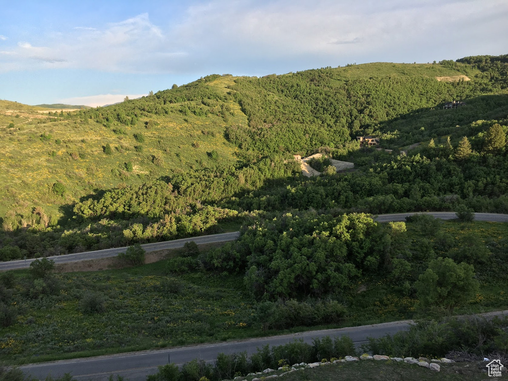 Property view of mountains