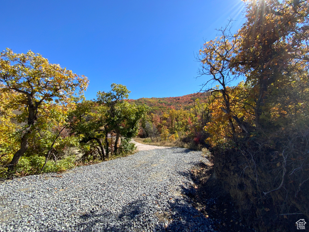 View of road