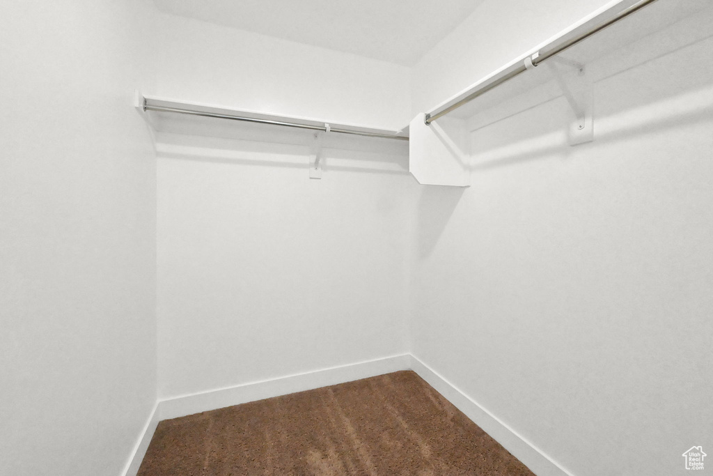 Spacious closet featuring carpet