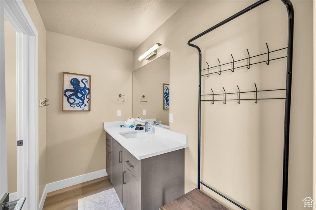 Bathroom featuring vanity and wood-type flooring