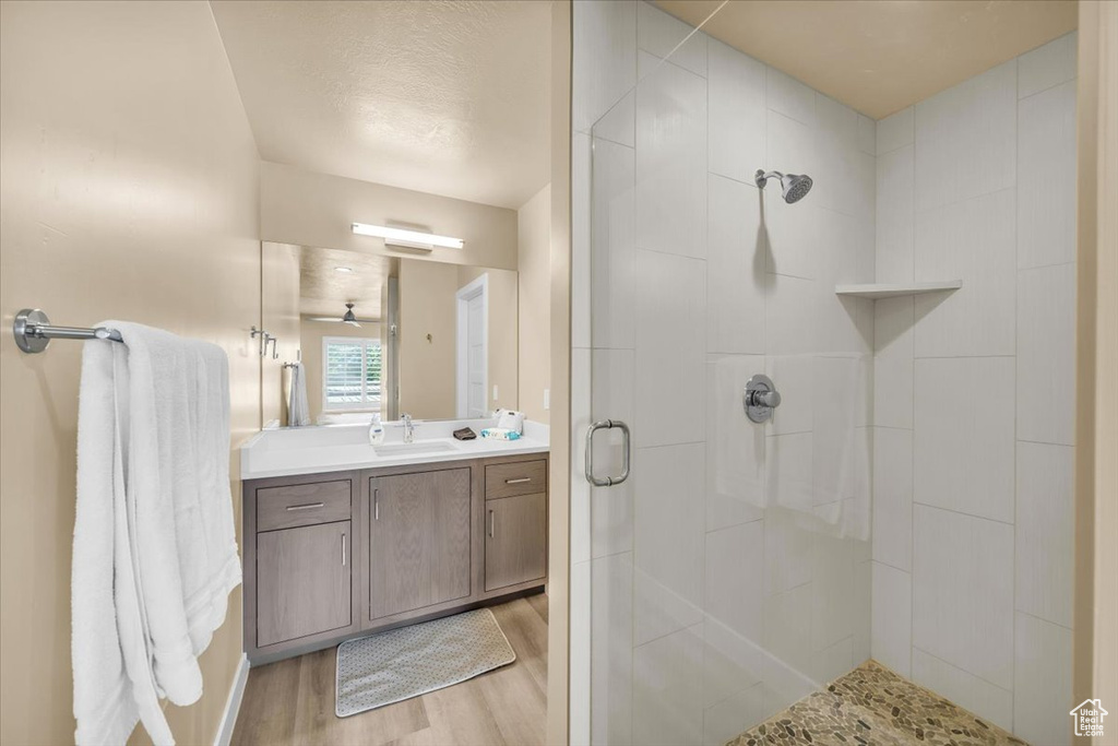 Bathroom with vanity, wood-type flooring, and walk in shower