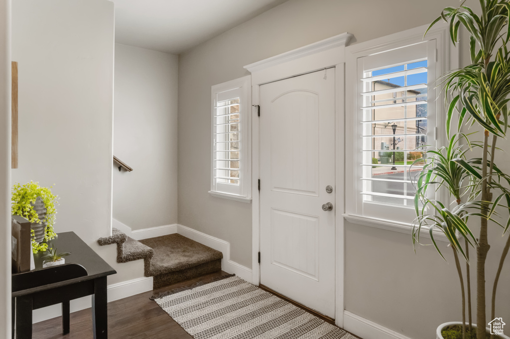 Entryway with dark hardwood / wood-style floors