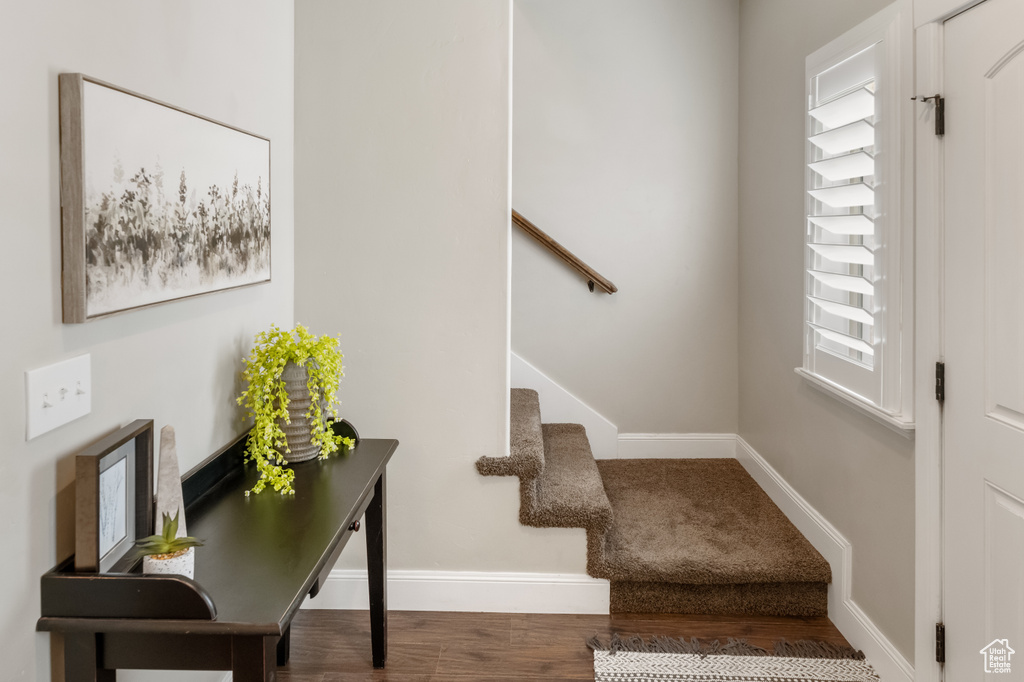 Staircase featuring hardwood / wood-style floors