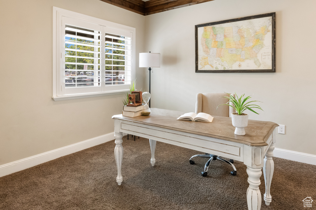 Home office with carpet floors