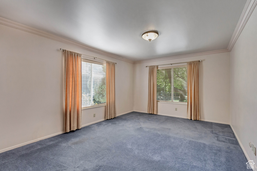 Carpeted spare room with ornamental molding