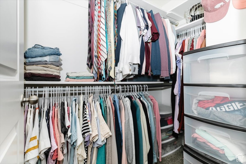 Spacious closet featuring carpet floors