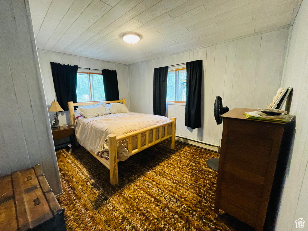 Bedroom featuring multiple windows and a baseboard radiator