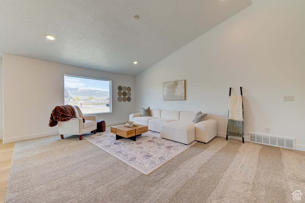 Living room featuring hardwood / wood-style flooring and high vaulted ceiling