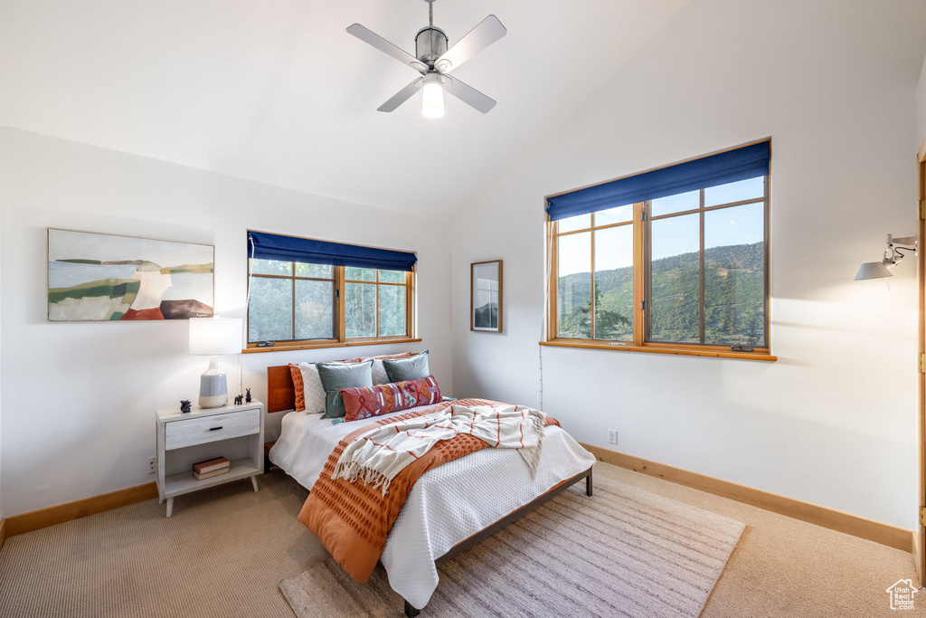 Carpeted bedroom with high vaulted ceiling, multiple windows, and ceiling fan