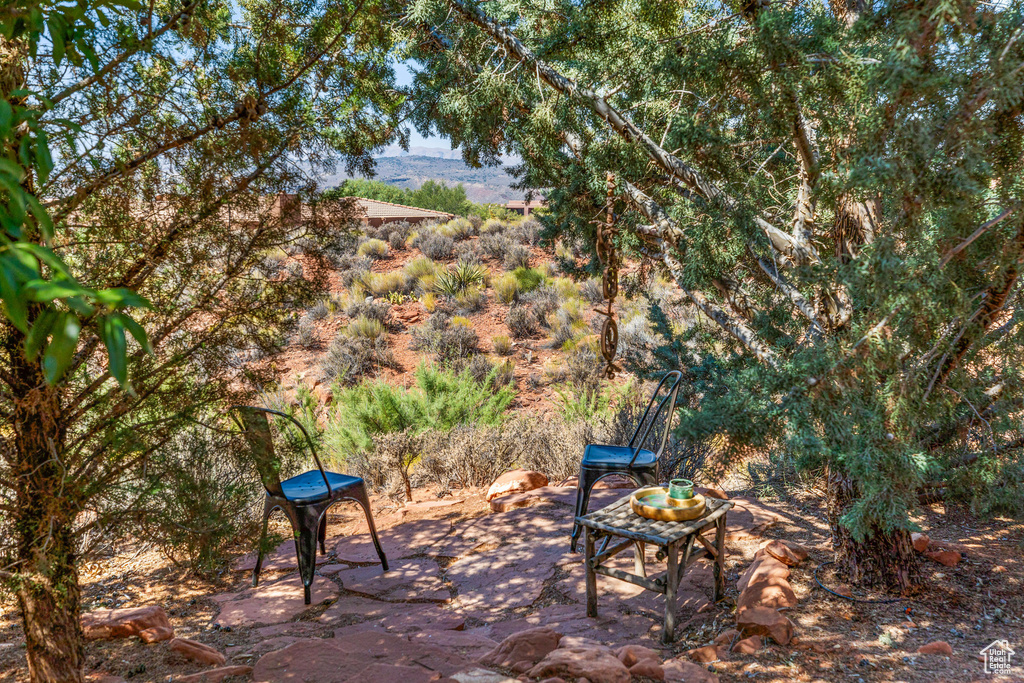 View of patio