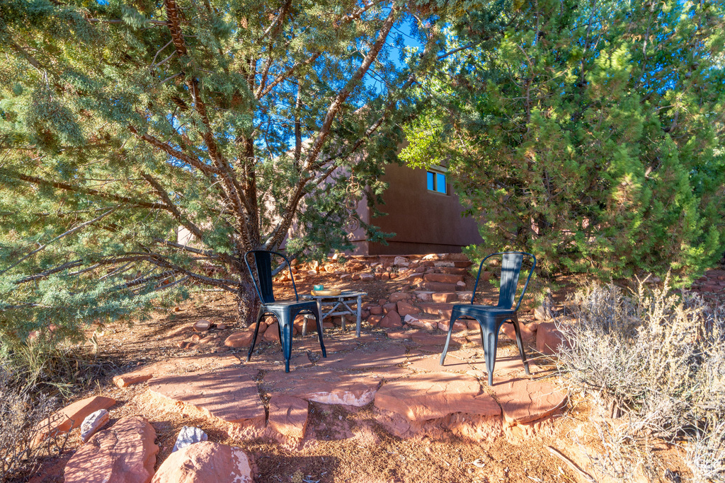 View of patio