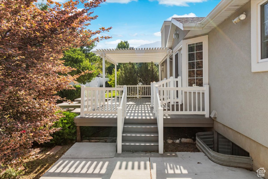 Wooden terrace with a pergola