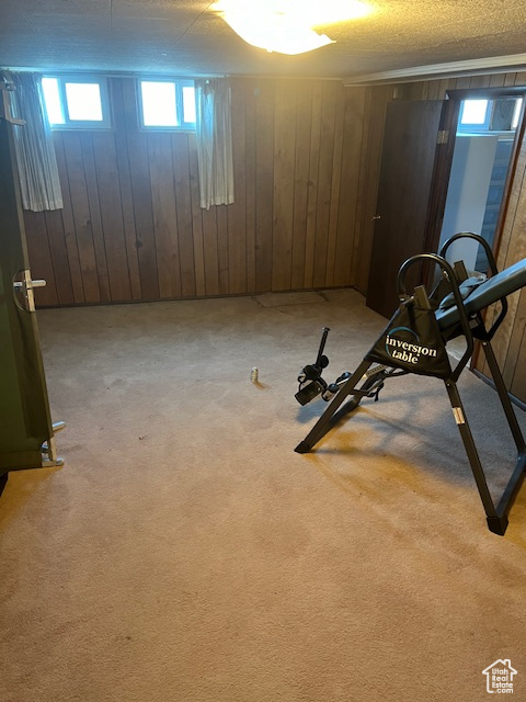 Exercise area with wood walls, light carpet, and a healthy amount of sunlight