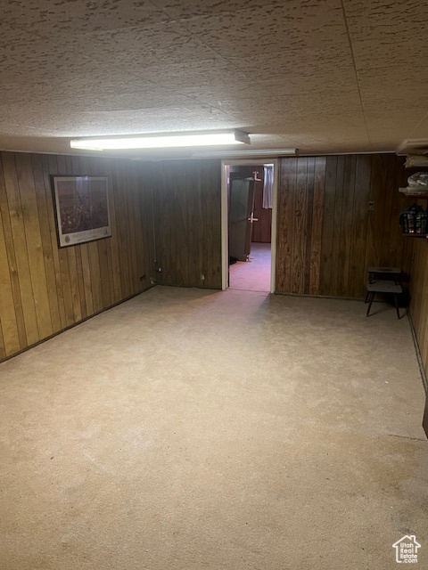 Basement featuring light carpet and wooden walls