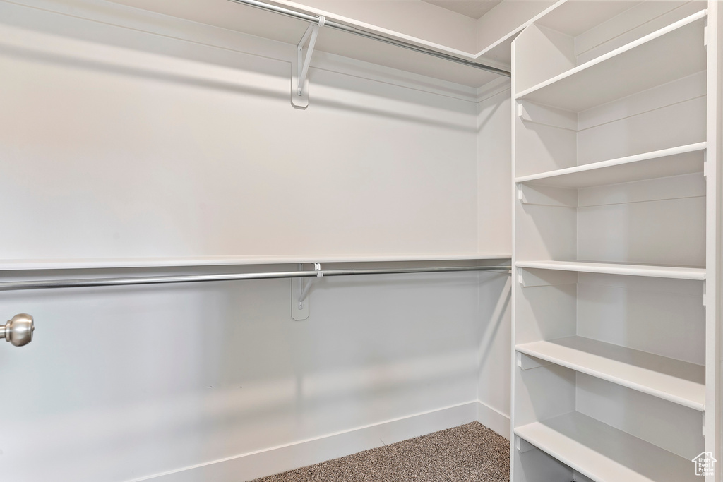 Walk in closet with carpet