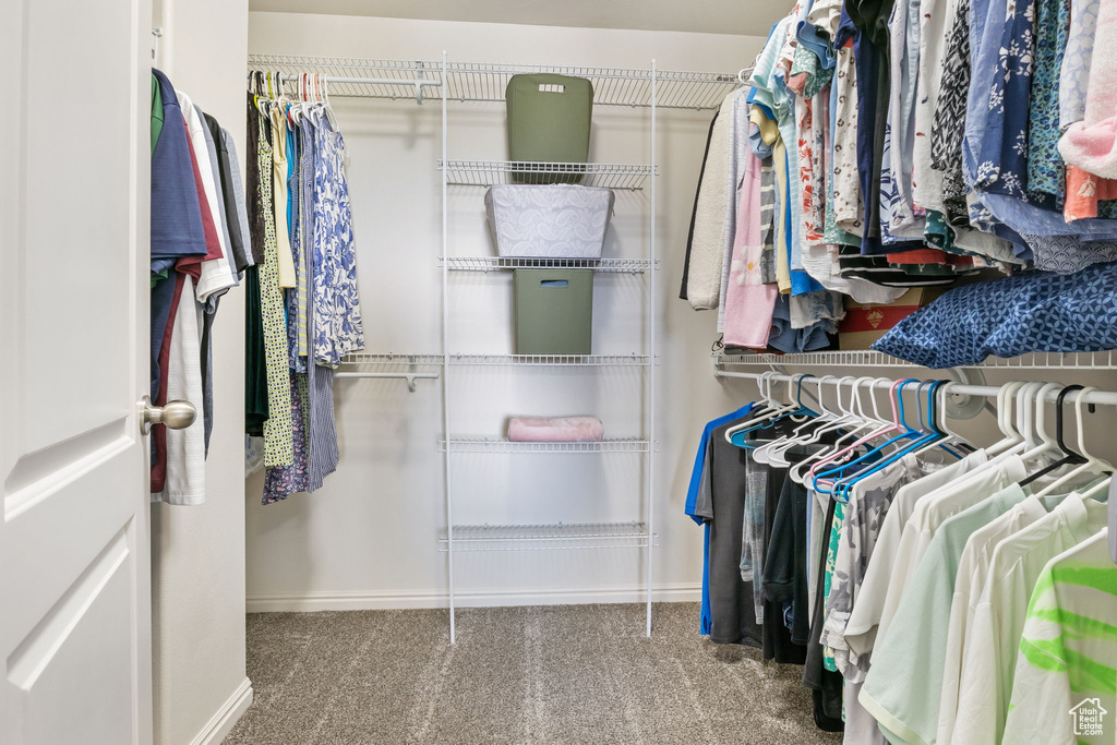 Walk in closet with carpet flooring