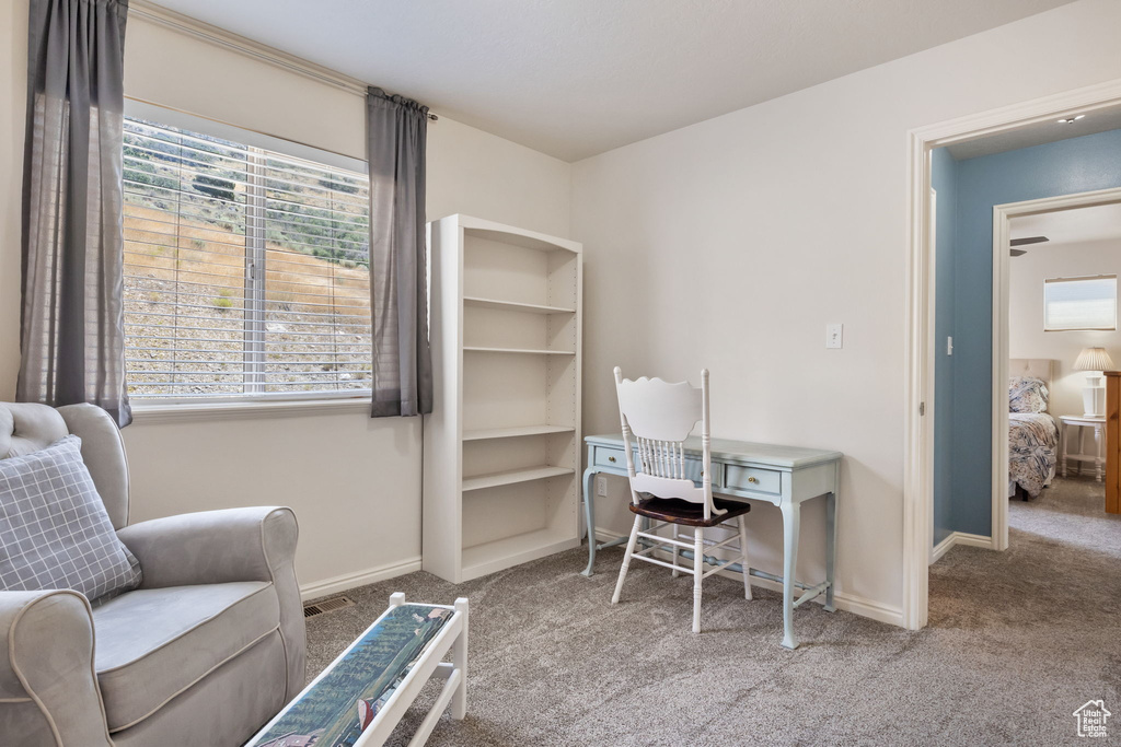 Home office with light colored carpet