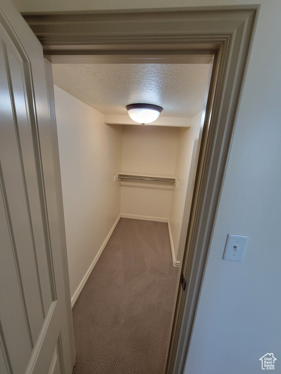 Walk in closet featuring carpet