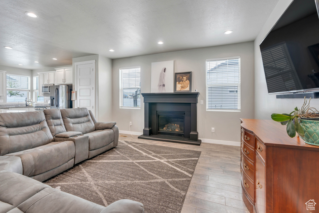 Living room featuring light hardwood / wood-style flooring