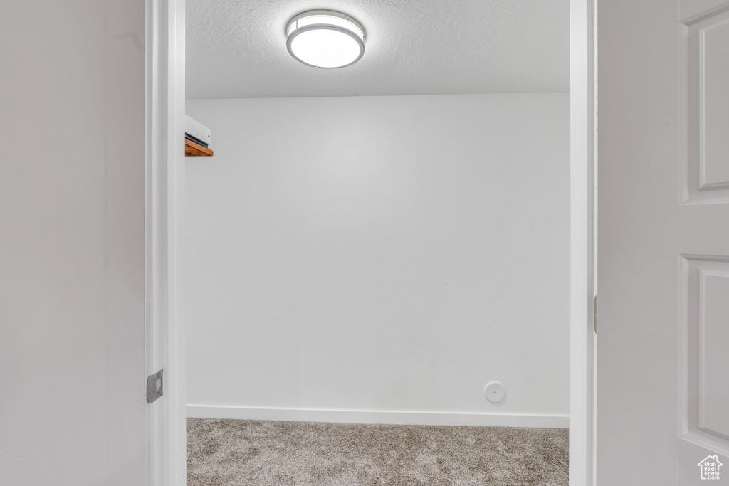 Walk in closet featuring light carpet