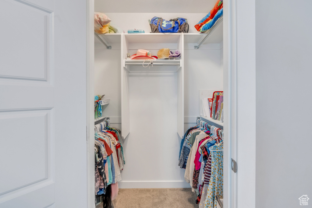 Spacious closet with light colored carpet