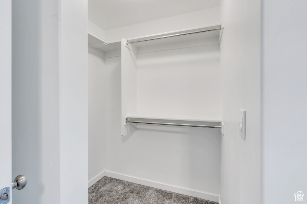 Spacious closet with carpet floors