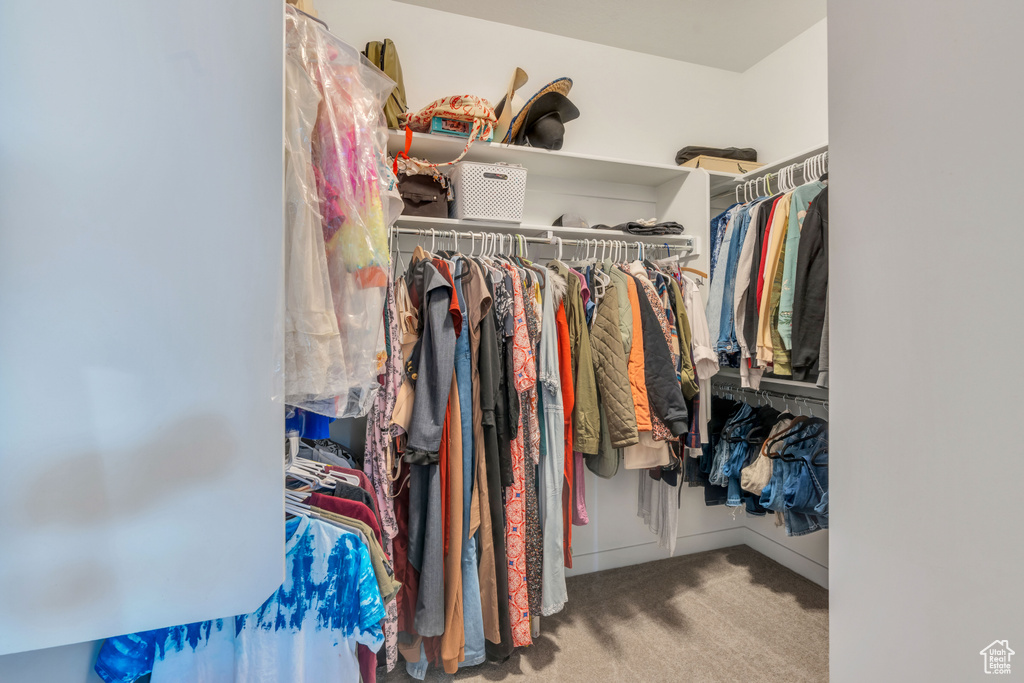 Walk in closet featuring carpet flooring