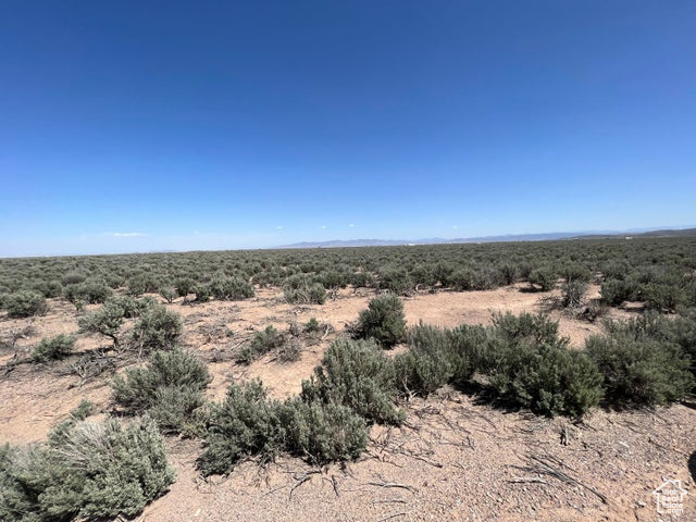 View of nature