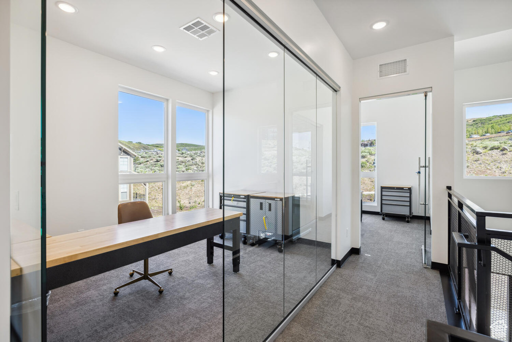 Carpeted home office with plenty of natural light