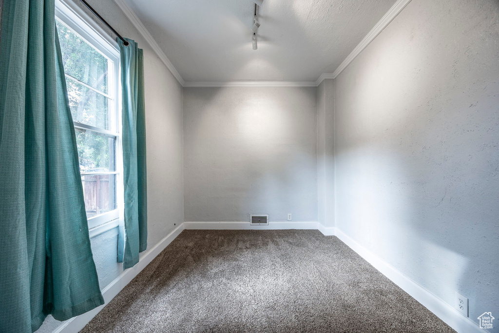 Empty room with rail lighting, carpet, and ornamental molding