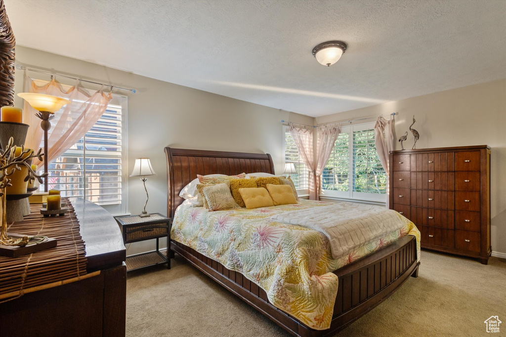 Bedroom with light colored carpet