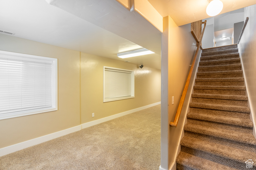 Stairs with carpet floors