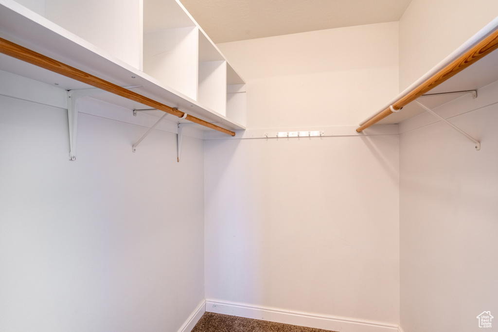 Walk in closet featuring carpet floors