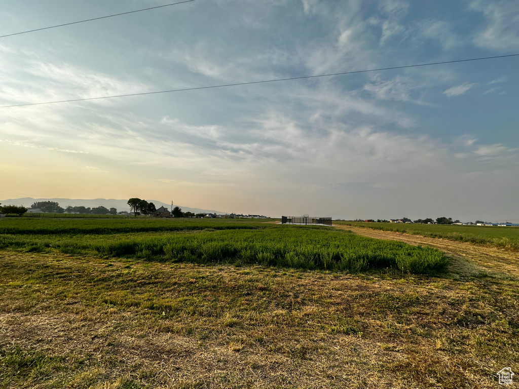 View of local wilderness featuring a rural view