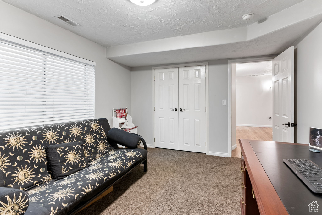 Carpeted living room with a textured ceiling