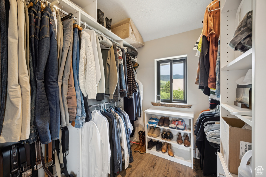 Spacious closet featuring wood-type flooring