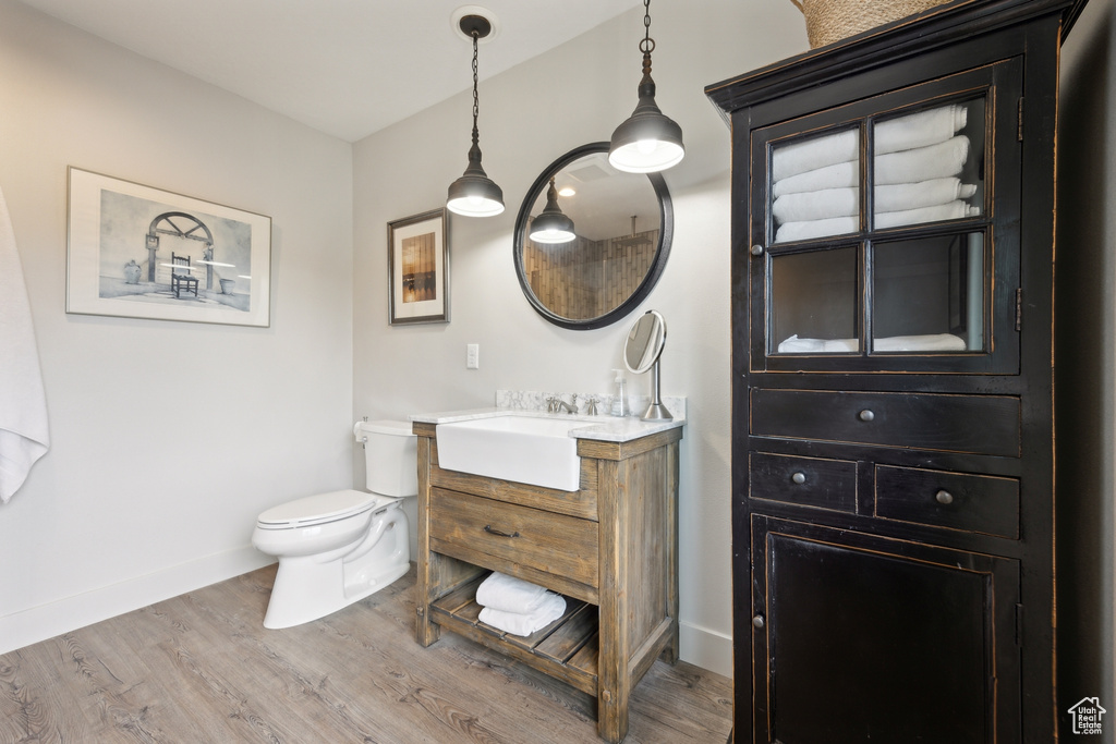 Bathroom featuring vanity, toilet, and wood-type flooring