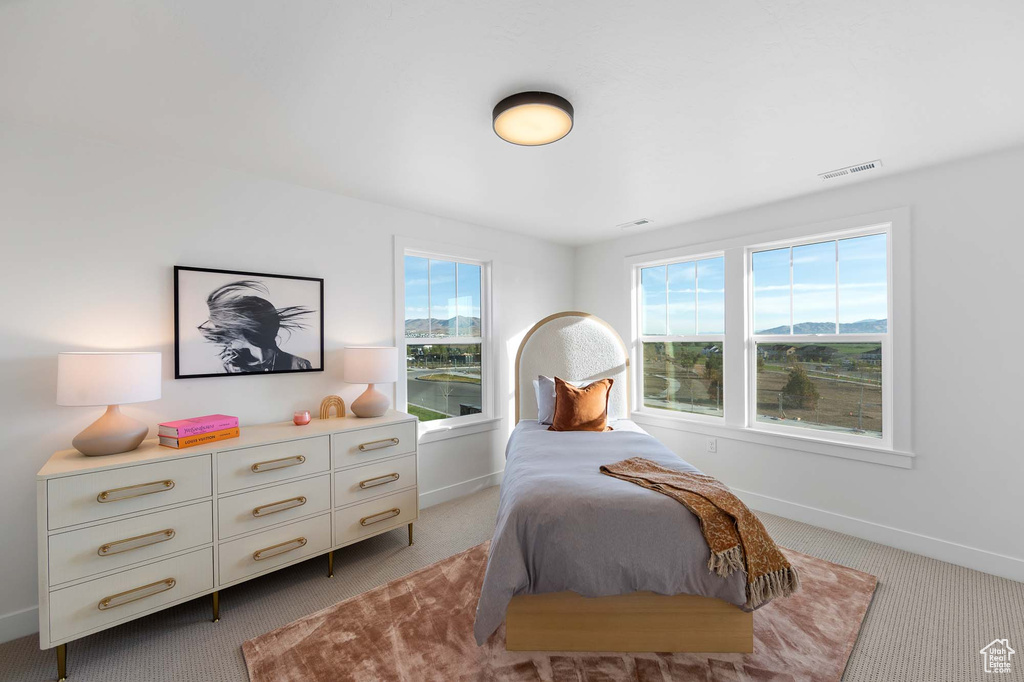 Carpeted bedroom featuring multiple windows