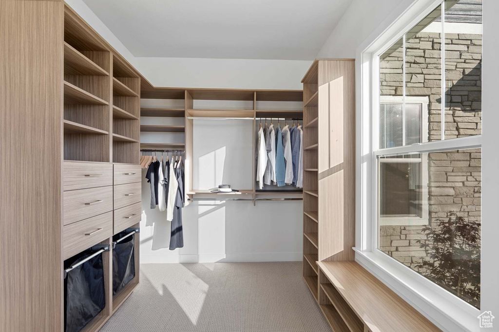 Spacious closet with carpet