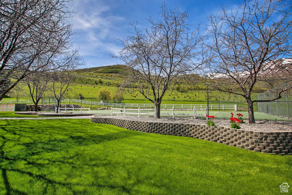 View of yard with a rural view