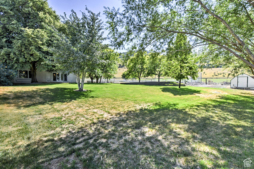 View of yard featuring a storage shed