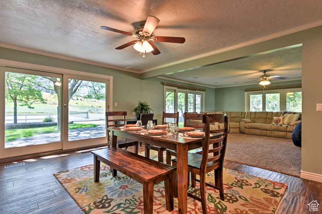 Dining area featuring hardwood / wood-style floors, a textured ceiling, ceiling fan, and ornamental molding