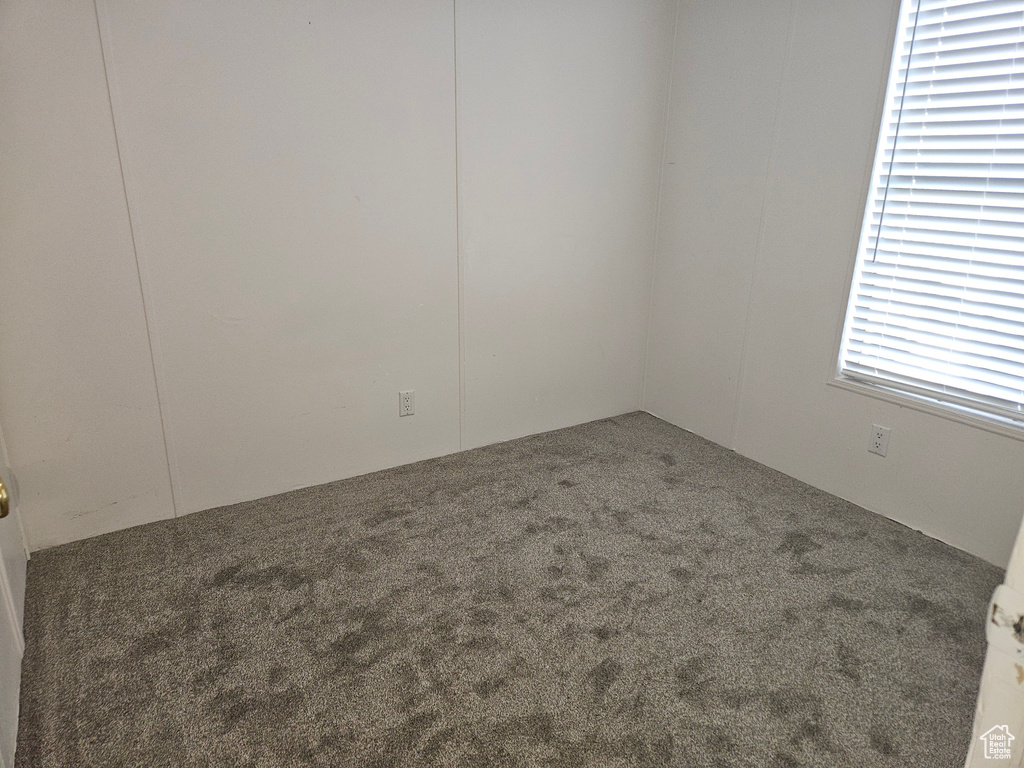 Empty room with carpet flooring and a healthy amount of sunlight