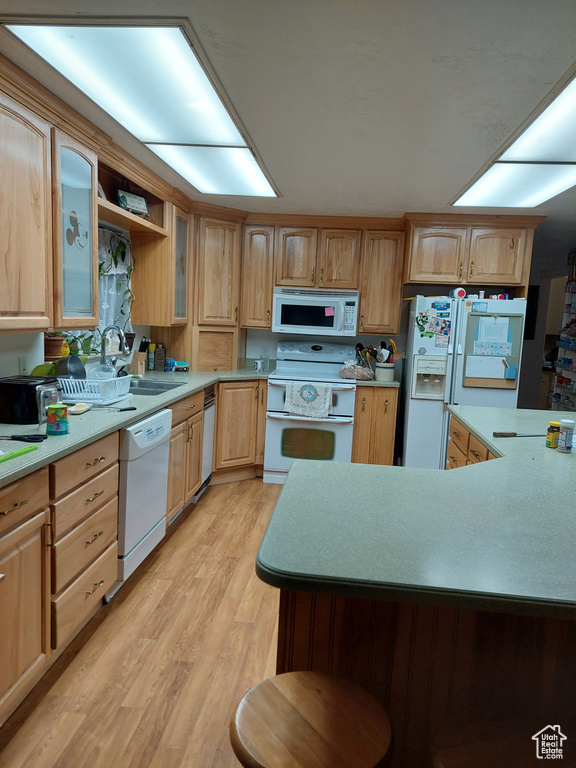 Kitchen featuring sink, light hardwood / wood-style flooring, and white appliances