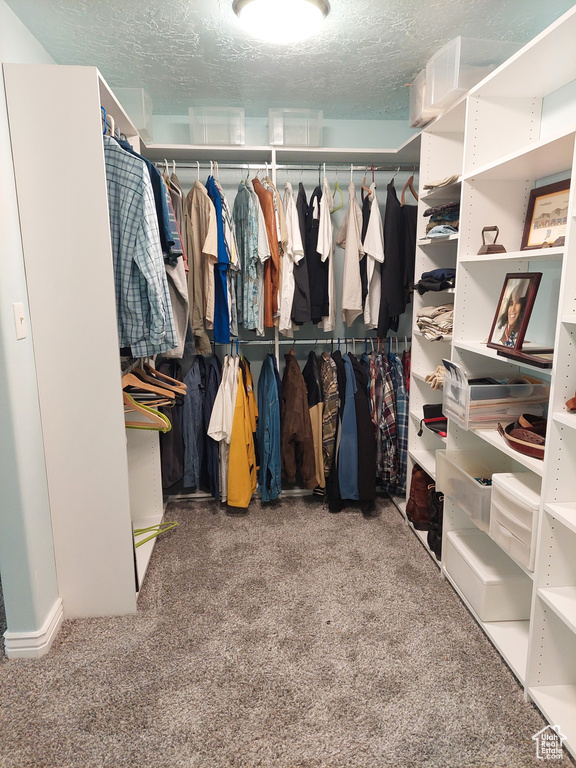 Spacious closet featuring carpet floors