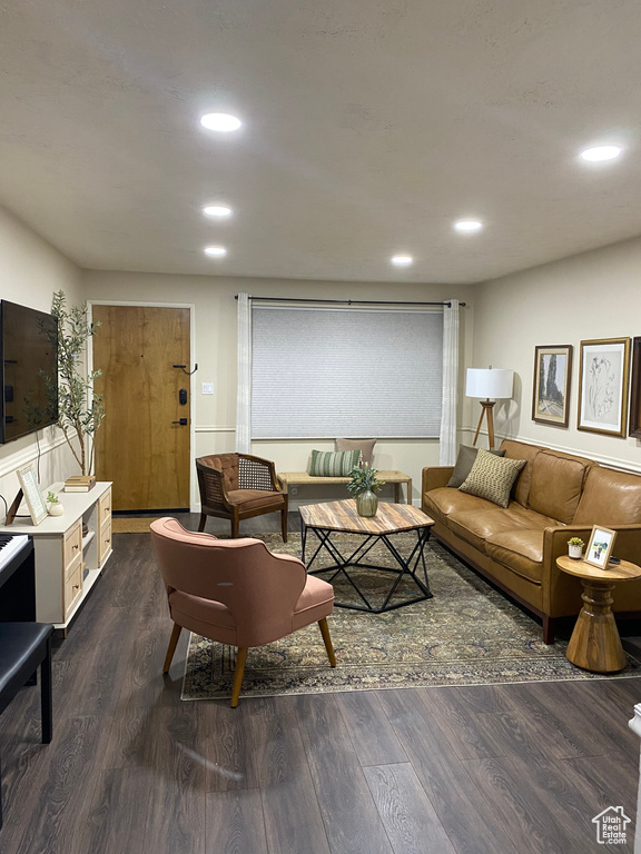 Living room featuring dark wood-type flooring