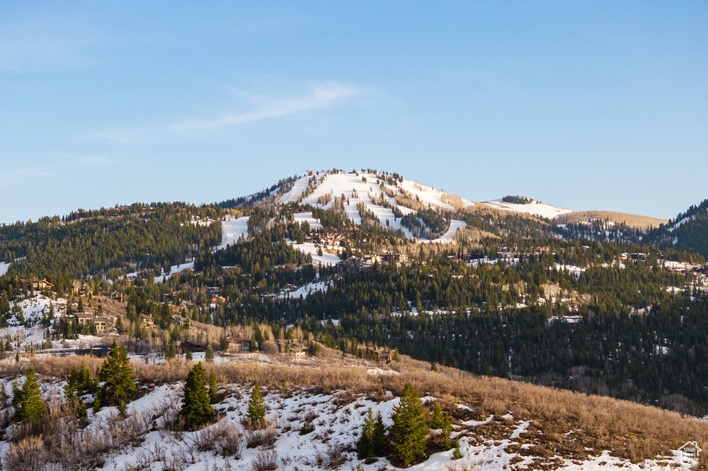 Mountain view