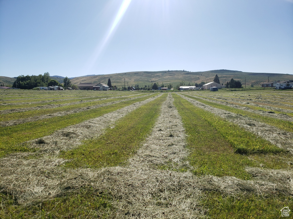 View of street with a rural view