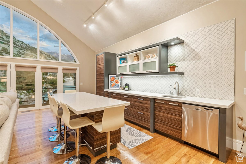 Kitchen featuring sink, dishwasher, light hardwood / wood-style flooring, backsplash, and track lighting