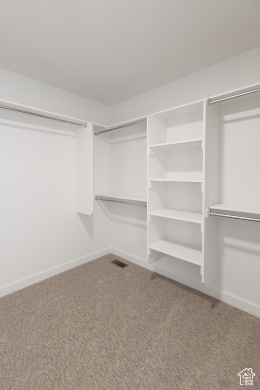 Spacious closet featuring carpet flooring